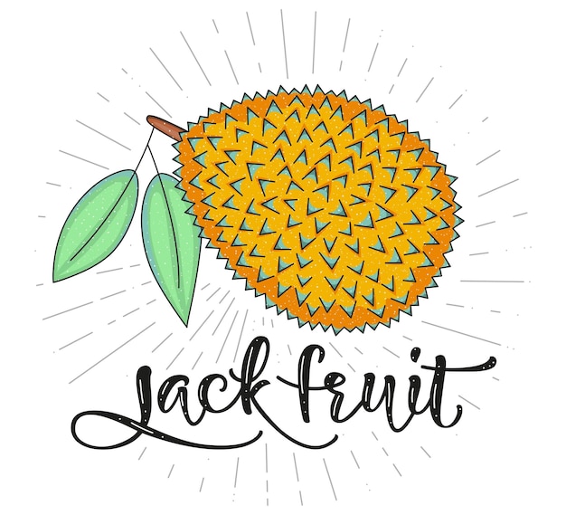 Jack fruit simbolo per il menu del mercato agricolo