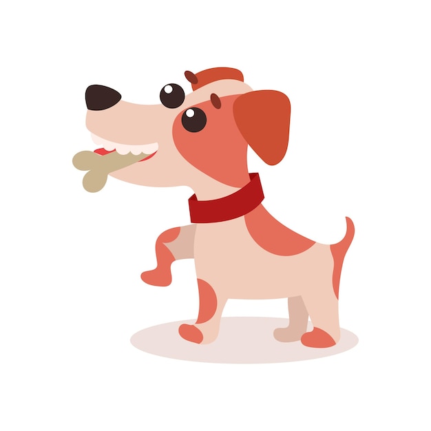 Vector jack russell terrier character eating bone, cute funny dog vector illustration on a white background