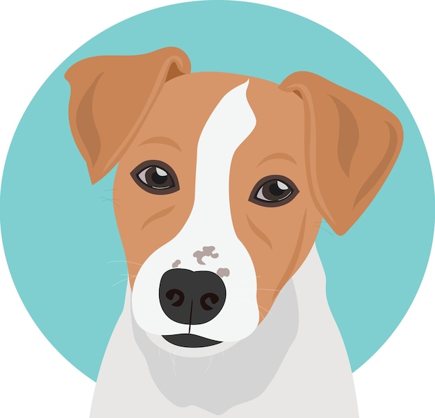 Vector jack russell terrier hond op een contrasterende achtergrond. canis lupus familiaris