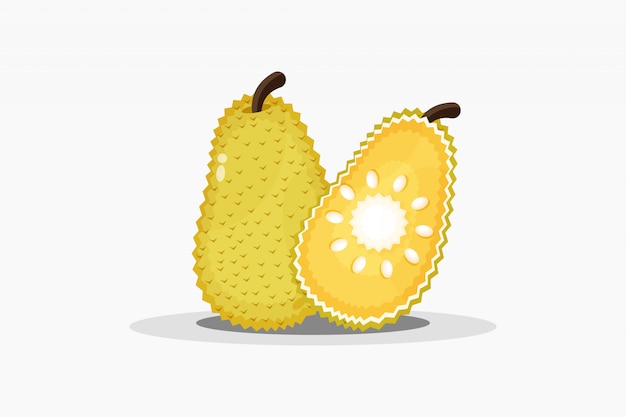 Jackfruit와 Jackfruit 조각