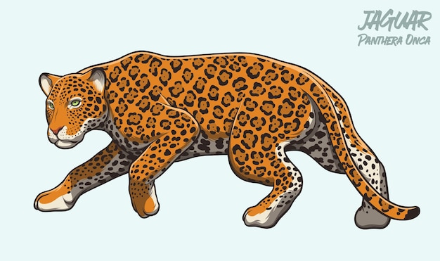 Jaguar lurking illustration