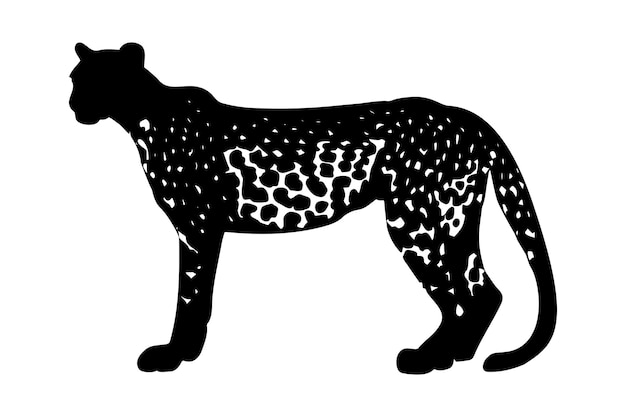 Vettore silhouette di jaguar isolata su sfondo bianco illustrazione vettoriale