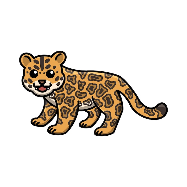 Vector jaguarundi vector illustration