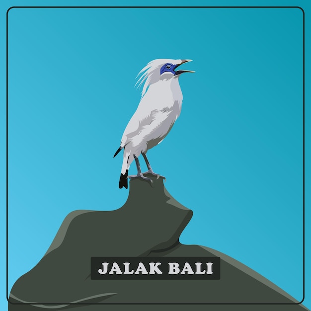 Jalak bali