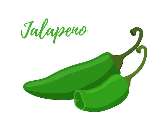 Jalapeno와 조각. 뜨거운 녹색 고추 고추