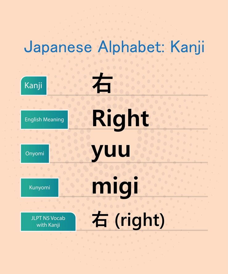 Vector japanese alphabet in english hiragana kanji words vector design
