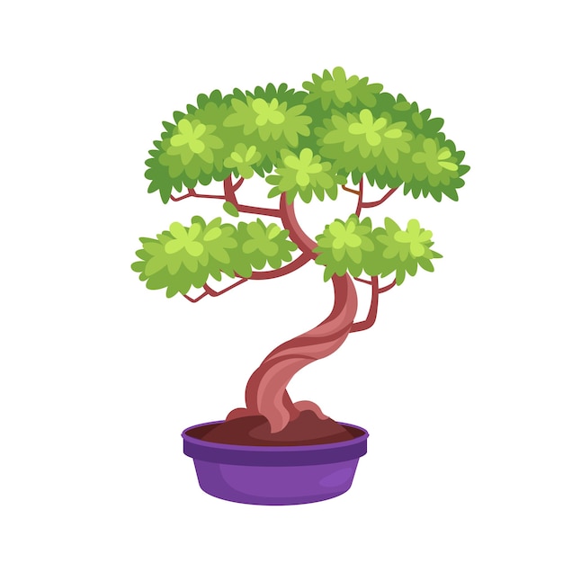 Vector japanese bonsai tree in a pot cartoon style