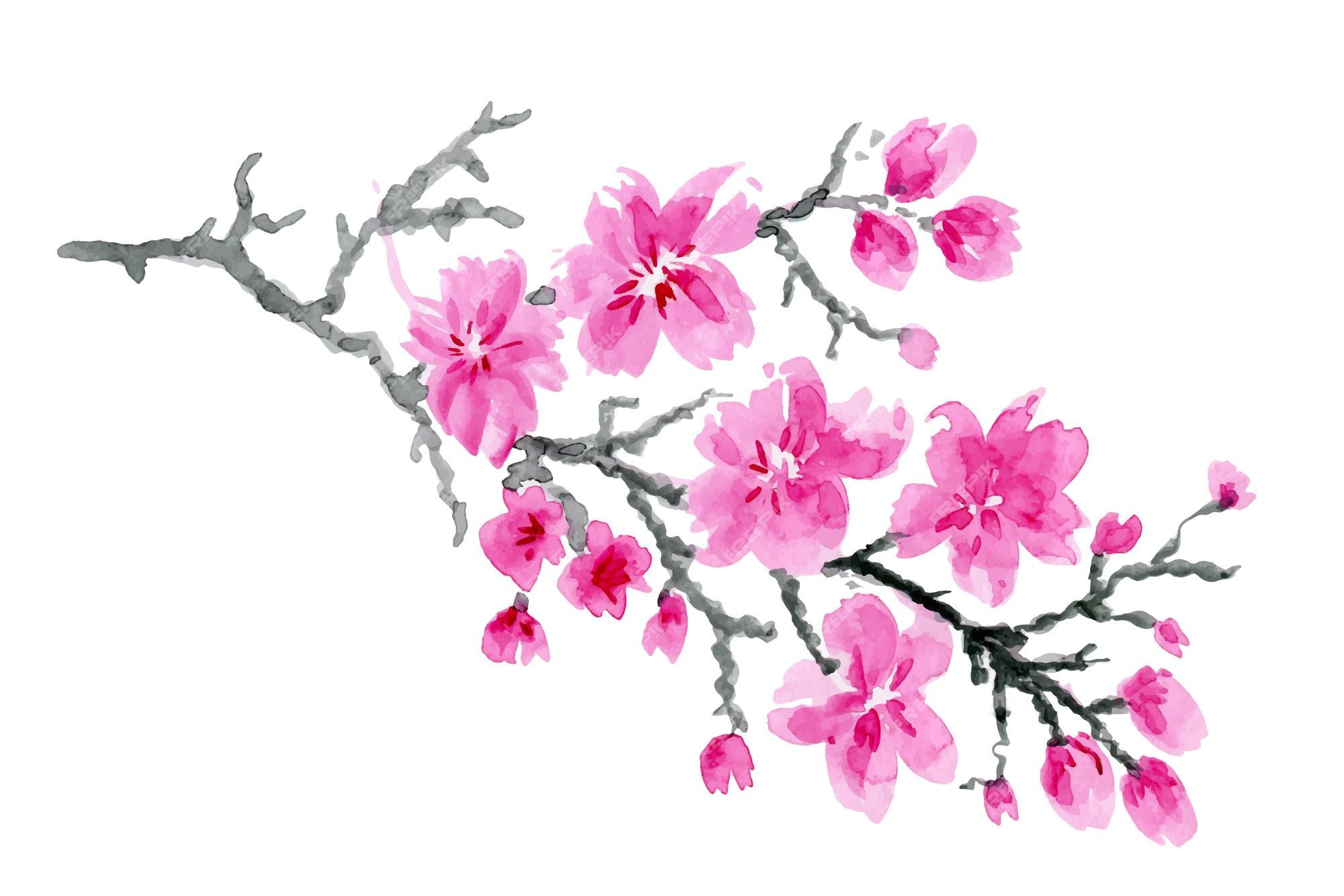 japanese cherry blossom drawings