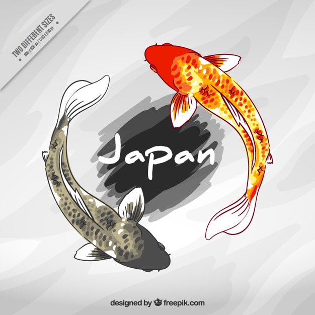 Vector japanese fishes background