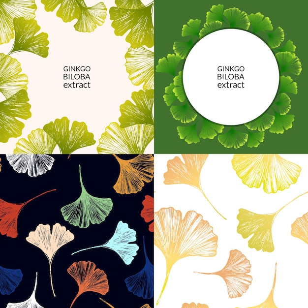 Vector japanese ginkgo biloba leaves frame set concept for medical or cosmetics banner organic and natural green leaves and copy space