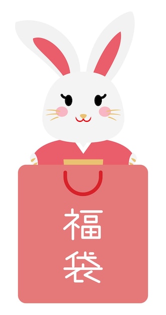 Japanese lucky bag of the Year of the Rabbit