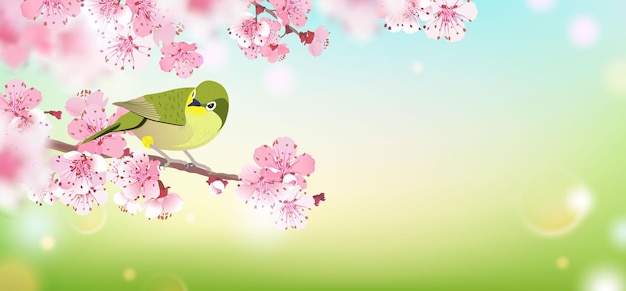 Vector japanese nightingale on a branch of cherry blossoms hanami in japan vector illustration