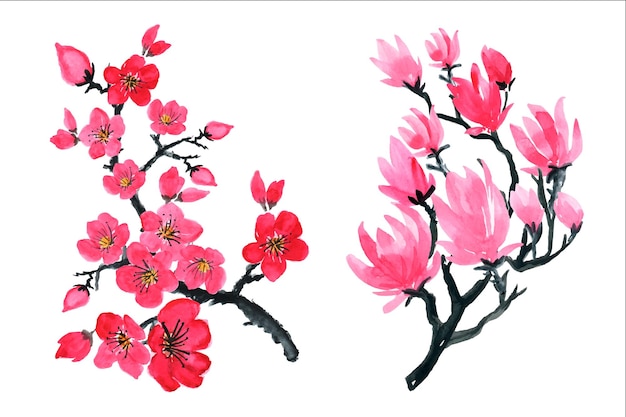 Japanese plants sakura pink cherry blossom flowers.Watercolor drawing.Cherry blossom with blooming.