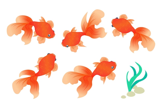 Japanese style goldfish pattern set various swimming goldfish