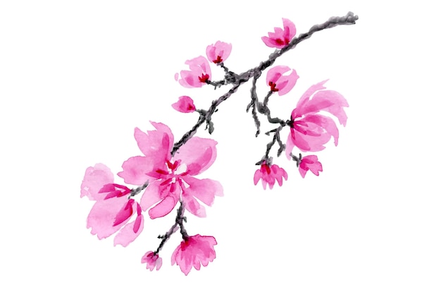 Japanse kersenbloesem tak aquarel hand getekende illustratie. sakura bloemen op een boomtak.