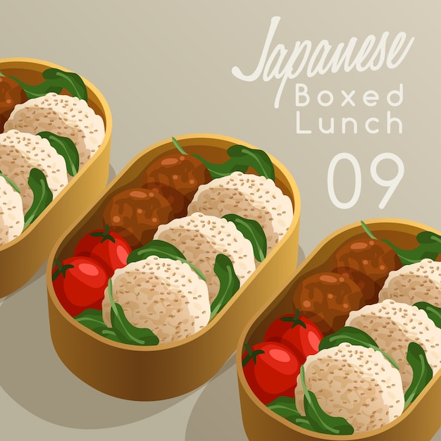 Japanse lunchpakket set illustratie