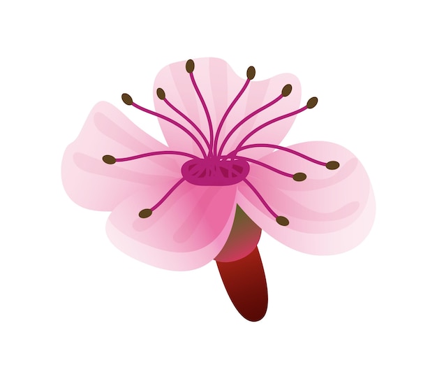 Vector japanse sakura bloemblaad concept icoon eenzame boom aziatische oosterse kersenblad cartoon vector