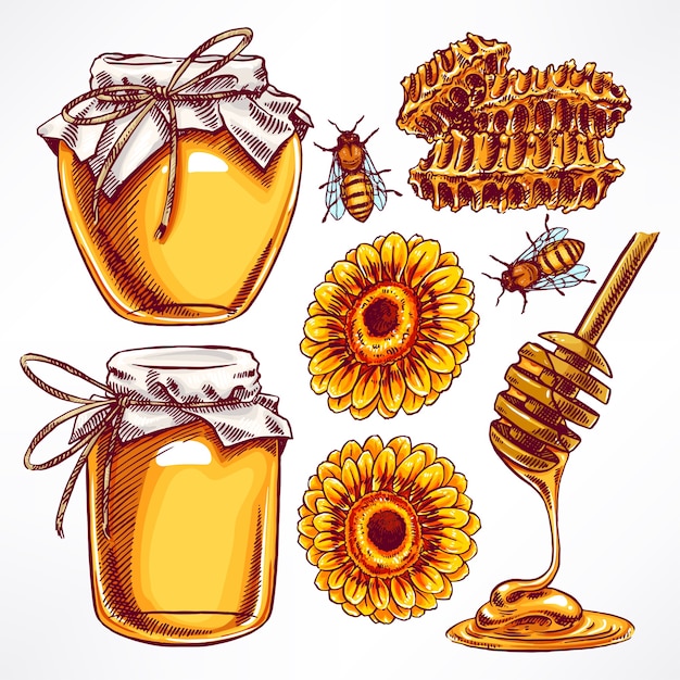 Jars of honey illustration