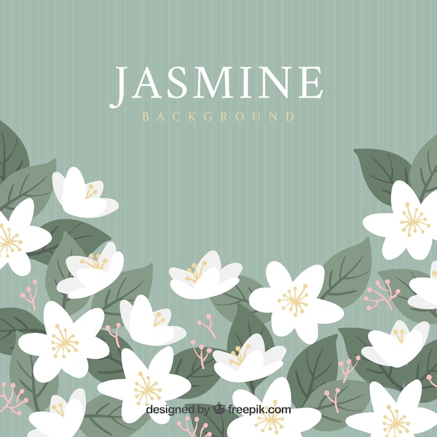 Jasmine achtergrond met moderne stijl