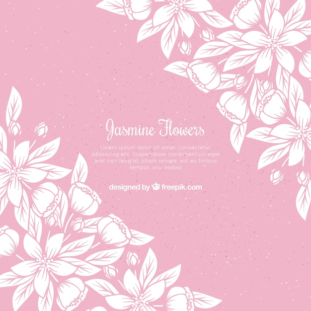 Vector jasmine background with elegant style