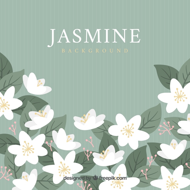 Jasmine background with modern style