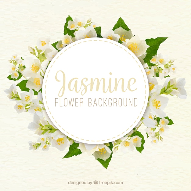 Vector jasmine background with realistic style