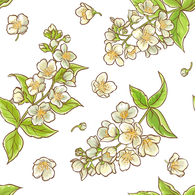 Jasmine branch vector pattern