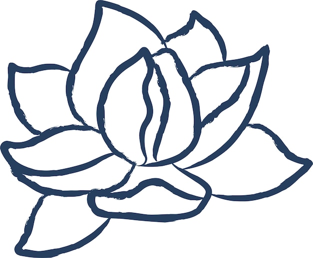 Jasmine flower hand drawn vector illustration