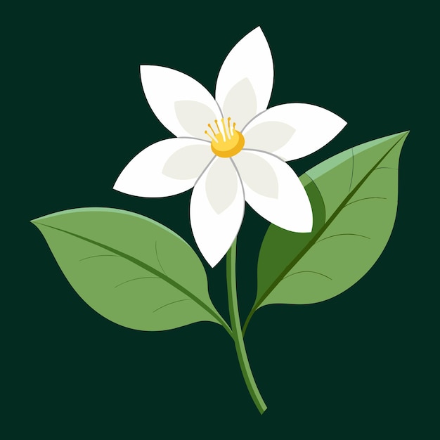 ジャスミンの香りのある花のガイド