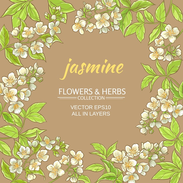 Jasmine vector frame