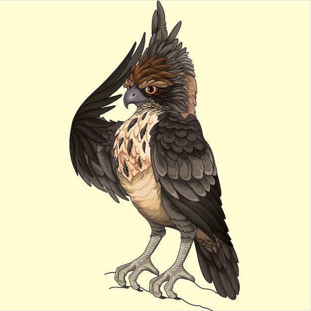 Vector javanese hawk illustration