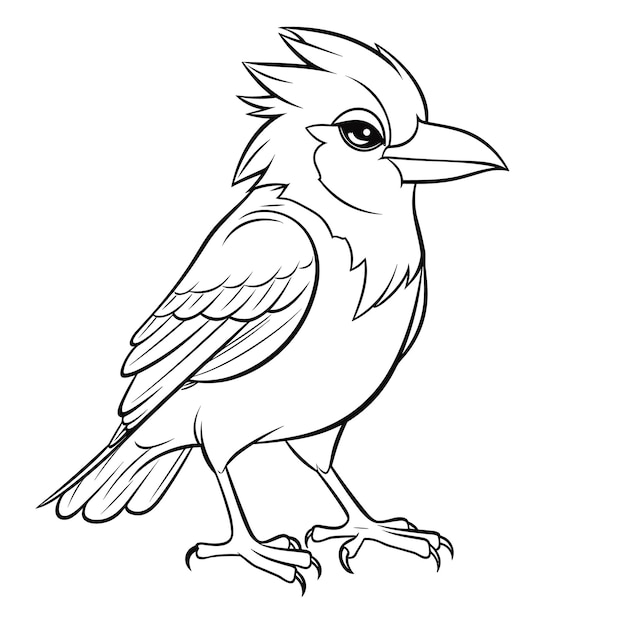 Jay coloring pages for kid