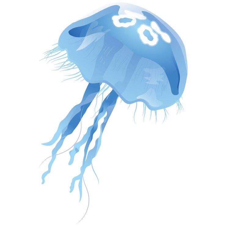 Vector jellfish