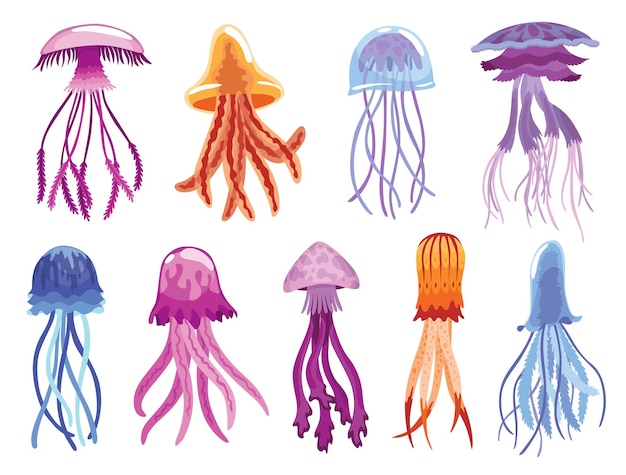 Jellyfish collection Sea wildlife and ocean fauna concept aquatic underwater or undersea animals Creative different medusa flat icon set for web design Colorful swimming marine creatures