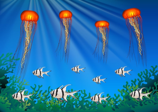 Jellyfish and fish swimming under the sea