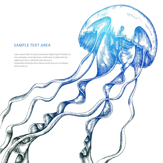 Vector jellyfish haddrawn artwork