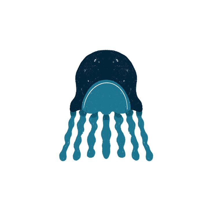 Vector jellyfish marine life hand drawn