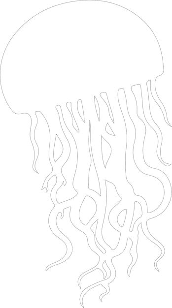 Vector jellyfish outline with transparent background