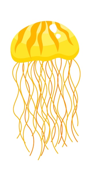 Jellyfish sea animal Vector illustration