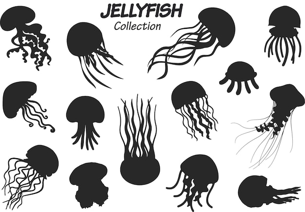 Jellyfish silhouette collection