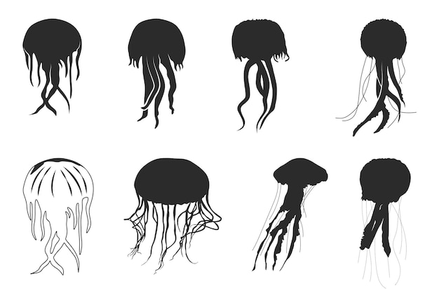 Vector jellyfish silhouette set jellyfish vector illustration jellyfish icon set