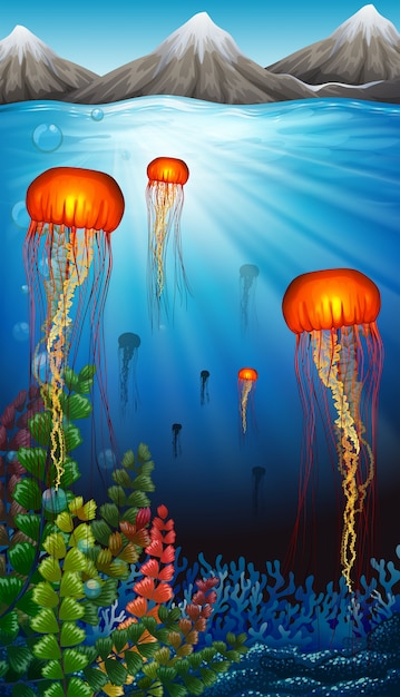 Jellyfish swimming under the ocean