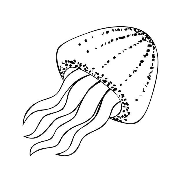 Jellyfish vector outline sketch white background