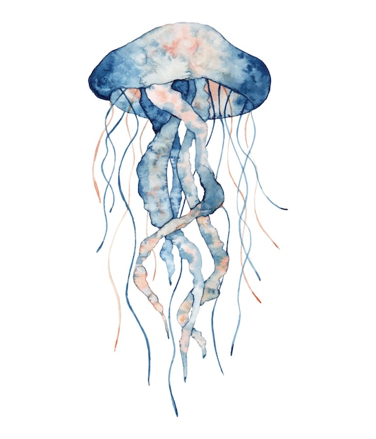 Jellyfish watercolor illustration. Painted medusa isolated on the white background, underwater wildlife.