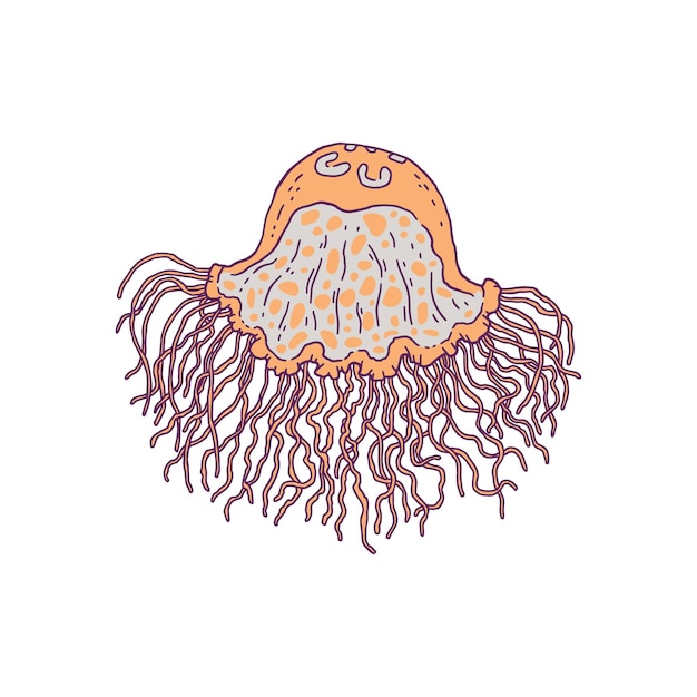 Vettore medusa gialla. illustrazione isolata della linea di doodle della vita sottomarina degli animali dell'oceano selvaggio di vettore.