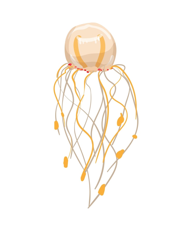 Vector jellyfish