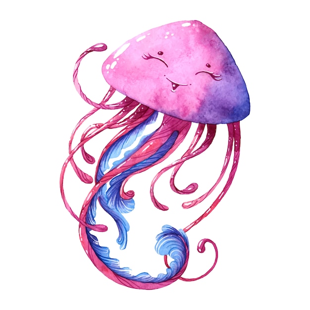 Jellyfish.