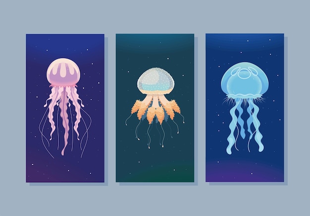 Jellyfishes sea life banners