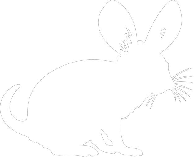 Vector jerboa outline with transparent background