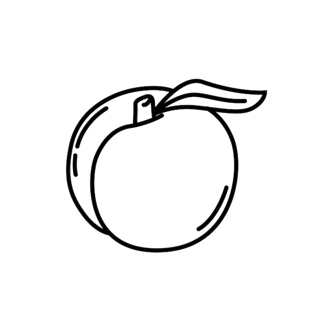 Jojoba icon outline black and white vector